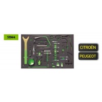 KIT DE CALADO DE DISTRIBUCIÓN PARA CITROËN / PEUGEOT 